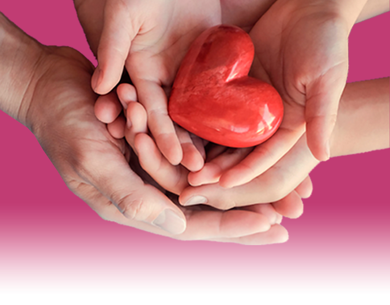 hand hearts